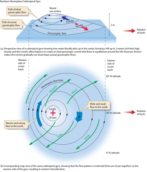   -Discuss the relationship between Ekman transport and geostrophic flow within a gyre. How does this relationship contribute to western intensification?