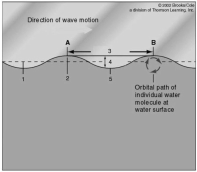 Refer to the figure below detailing wave characteristics. Use the information on the figure to answer the following question.    -The portion of the wave that is also known as the zero energy level is indicated by the number: A) 1)  B) 2)  C) 3)  D) 4)  E) 5) 