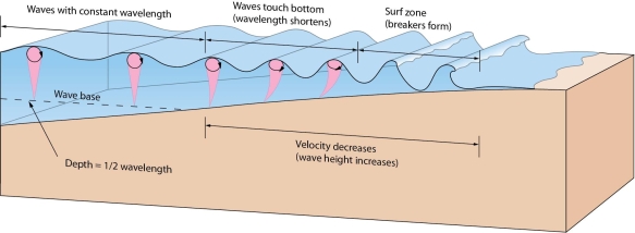   -Describe what happens to a deep-water wave when it enters shallow water and eventually breaks.