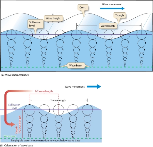  -Describe the relationship between the following: wave height, wavelength, wave speed, and wave steepness.