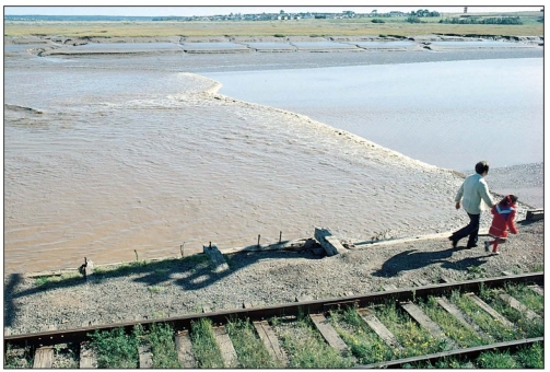   -This wave formed on a river by a flood current is called a/an: A) ebb tide. B) flood tide. C) seiche D) tidal bore. E) tsunami.