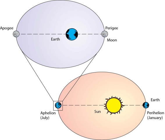   -Differentiate between apogee and perigee and briefly discuss the effect on tidal height when perigee coincides with spring tide.