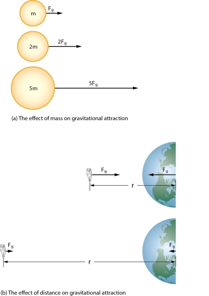   -Discuss the influence of the relative masses and distance between the two objects on tide-generating forces.
