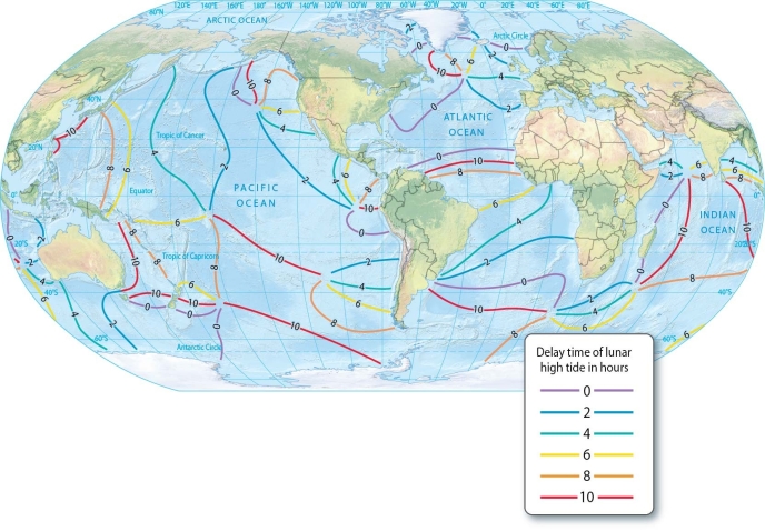  -Describe the tides in an open-ocean basin.