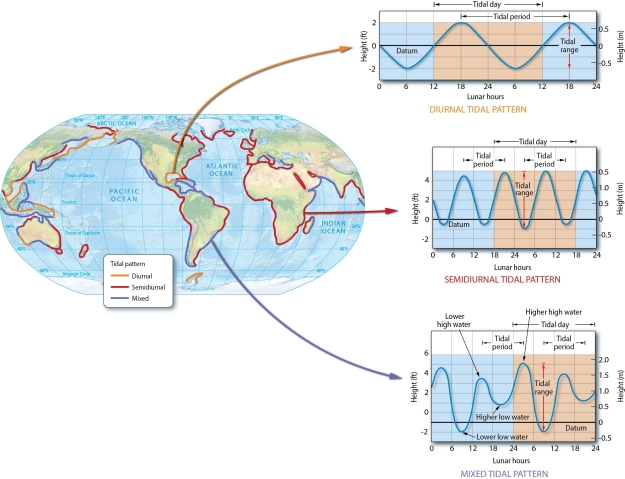   -Describe the number of high and low tides in a lunar day, including the period, and any inequality of diurnal, semidiurnal, and mixed tide types.