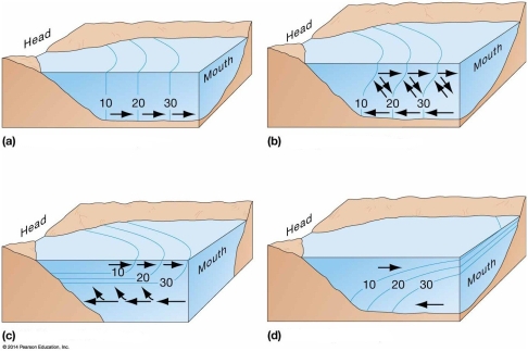   -List and briefly describe the four types of estuaries based upon origin and give an example of each.