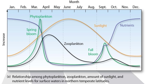   -Why do algal blooms frequently occur during spring and fall in temperate oceans?