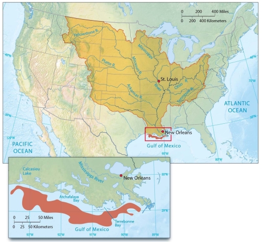   -Discuss the formation of the Gulf of Mexico dead zone. Why does this area form in the warmer months of the year?