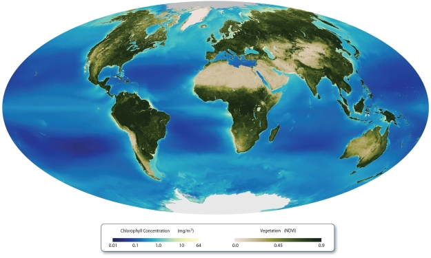   -Distinguish between eutrophic and oligotrophic oceans. Where would you expect to find eutrophic areas in the ocean? Oligotrophic areas?