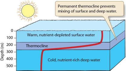   -Tropical oceans are generally characterized by low net primary productivity. What are three environments that are exceptions to this and what factors contribute to their higher productivity?