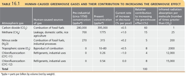   -Briefly discuss the human-caused greenhouse gases in terms of their relative concentrations in the atmosphere and their relative contributions to global warming.