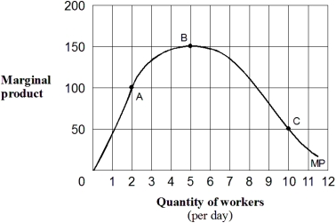 Exhibit 6-3 A marginal product curve    -As shown in Exhibit 6-3,the marginal product of labor for the last worker hired when 2 workers are employed per day is: A)  50. B)  100. C)  150. D)  175.