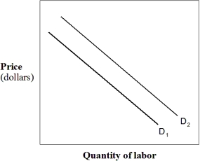 Exhibit 10-6 Demand for labor curves    -In Exhibit 10-6,which of the following could have caused the shift in labor demand from D₁ to D₂? A)  Increase in wages. B)  Decrease in wages. C)  Decrease in price of product. D)  Decrease in demand for the product. E)  Increase in the demand for the product.
