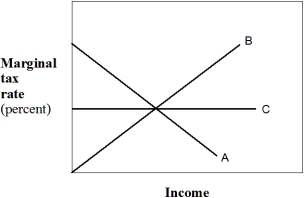 <strong>Exhibit 16-4 Marginal tax rate lines In Exhibit 16-4,line C represents a:</strong> A) regressive tax. B) progressive tax. C) proportional tax. D) ability-to-pay tax.