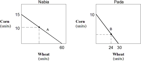 Exhibit 21-1 Production possibilities curves    -In Exhibit 21-1,the production possibilities curves of wheat and corn for Nabia and Pada are presented.In Pada the cost of producing one more unit of corn is equal to: A)  3 units of wheat. B)  3 units of corn. C)  1/3 unit of wheat. D)  15 units of wheat. E)  30 units of wheat.