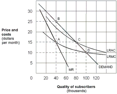 Exhibit 13-1 Cable television monopolist   -As shown in Exhibit 13-1, regulators might follow a fair return pricing strategy and require the cable television monopolist to operate at point: A)  A. B)  B. C)  C. D)  D.