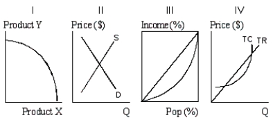 Exhibit 12-5 Economic curves   -In Exhibit 12-5, a Lorenz curve is shown in diagram: A)  I. B)  II. C)  III. D)  IV. E)  both I and II.