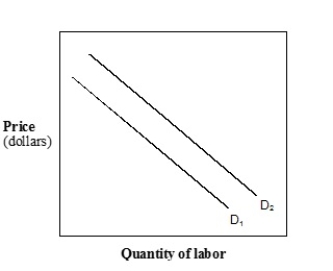 Exhibit 11- 7 Demand for labor curves ​   -​In Exhibit 11-7, which of the following could have caused the shift in labor demand from D<sub>1</sub> to D<sub>2</sub>?​ A)  Increase in wages. B)  Decrease in wages. C)  Decrease in price of product. D)  Decrease in demand for the product. E)  Increase in the demand for the product.