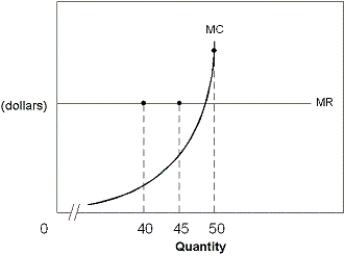 Exhibit 8-5 A firm's MR and MC curves   -In Exhibit 8-5, suppose a firm is currently producing 45 units of output. What would you advise this firm to do? A)  Shut down. B)  Increase output. C)  Stay at its current output D)  Decrease output E)  Decrease price.
