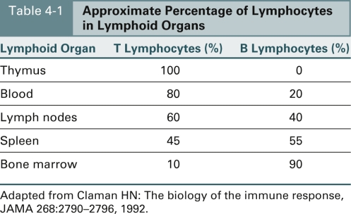 Match the lymphoid organs with the approximate percentage of T lymphocytes. -Bone marrow See Table 4-1,Approximate Percentage of Lymphocytes in Lymphoid Organs.    A) 80% B) 60% C) 20% D) 10% 