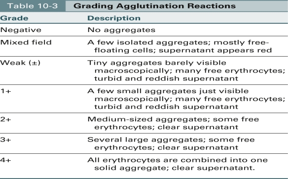 Match the grade of the agglutination reaction with the appropriate description.    -4+ A) Tiny aggregates B) No aggregates C) Medium-sized aggregates,some free red blood cells (RBCs)  D) Clear supernatant 