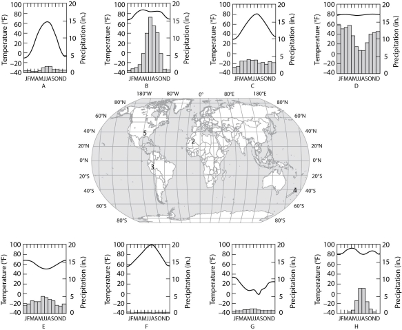 The eight climographs in Figure 40.1 show yearly temperature (line graph and left vertical axis)  and precipitation (bar graph and right vertical axis)  averages for each month for some locations on Earth. Choose the climograph that best answers the question.    Figure 40.1 -Which climograph shows the climate for location 1? A)  A B)  C C)  E D)  G E)  H