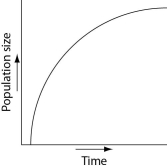 Which of the following graphs illustrates the growth curve of a small population of rodents that has grown to reach a static carrying capacity? A)    B)    C)    D)    E)   