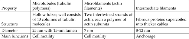 <strong>4.2 Art Question   Table 4.1 A biologist ground up some plant leaf cells and then centrifuged the mixture to fractionate the organelles. Organelles in one of the heavier fractions could produce ATP in the light, whereas organelles in the lighter fraction could produce ATP in the dark. The heavier and lighter fractions are most likely to contain, respectively,</strong> A) mitochondria and chloroplasts. B) chloroplasts and peroxisomes. C) peroxisomes and chloroplasts. D) chloroplasts and mitochondria. E) mitochondria and peroxisomes. <div style=padding-top: 35px> 