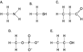   Figure 3.6 -Which molecule shown in Figure 3.6 can form a cross linkage? A)  A B)  B C)  C D)  D E)  E