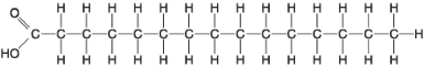   Figure 3.8 -Which of the following statements is true regarding the molecule illustrated in Figure 3.8? A)  It is a saturated fatty acid. B)  A diet rich in this molecule may contribute to atherosclerosis. C)  Molecules of this type are usually liquid at room temperature. D)  It is a saturated fatty acid, and a diet rich in this molecule may contribute to atherosclerosis. E)  It is a saturated fatty acid, a diet rich in this molecule may contribute to atherosclerosis, and molecules of this type are usually liquid at room temperature.