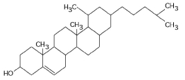   Figure 3.10 -What is the structure shown in Figure 3.10? A)  pentose molecule B)  fatty acid molecule C)  steroid molecule D)  oligosaccharide molecule E)  phospholipid molecule
