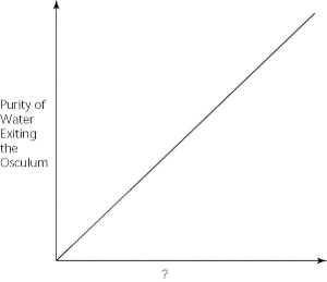   Figure 27.1 -Which of the following factors, when used to label the horizontal axis of the graph in Figure 27.1, would account most directly for the shape of the plot? A)  spongin concentration (gm/unit volume)  B)  rate of cribrostatin synthesis (molecules/unit time)  C)  number of pores per sponge D)  number of spicules per sponge E)  number of choanocytes per sponge 