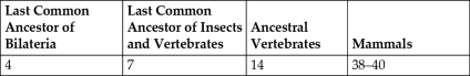   Table 27.1. Proposed Number of Hox Genes in Various Extant and Extinct Animals -All things being equal, which of these is the most parsimonious explanation for the change in the number of Hox genes from the last common ancestor of insects and vertebrates to ancestral vertebrates, as shown in Table 27.1? A)  The occurrence of seven independent duplications of individual Hox genes. B)  The occurrence of two distinct duplications of the entire seven-gene cluster, followed by the loss of one cluster. C)  The occurrence of a single duplication of the entire seven-gene cluster.
