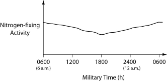 <strong>The data were collected from the heterocysts of a nitrogen-fixing cyanobacterium inhabiting equatorial ponds. Study the graph in Figure 24.3 and choose the most likely explanation for the shape of the curve. Figure 24.3</strong> A) Enough O2 enters heterocysts during hours of peak photosynthesis to have a somewhat-inhibitory effect on nitrogen fixation. B) Light-dependent reaction rates must be highest between 1800 hours and 0600 hours. C) Atmospheric N2 levels increase at night because plants are no longer metabolizing this gas, so they are not absorbing this gas through their stomata. D) Heterocyst walls become less permeable to N2 influx during darkness. E) The amount of fixed nitrogen that is dissolved in the pond water in which the cyanobacteria are growing peaks at the close of the photosynthetic day (1800 hours).