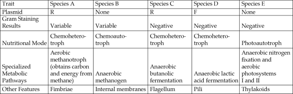 <strong>Table 24.1 depicts characteristics of five prokaryotic species (A-E). Use the information in the table to answer the following questions. Table 24.1 Which two species should have much more phospholipid, in the form of bilayers, in their cytoplasm than most other bacteria?</strong> A) species A and B B) species A and C C) species B and E D) species C and D E) species C and E