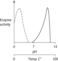 <strong>Consider the thermoacidophile Sulfolobus acidocaldarius. Which of the following graphs most accurately depicts the expected temperature and pH profiles of its enzymes? (Note: The horizontal axes of these graphs are double, with pH above and temperature below.) </strong> A) B) C) D)