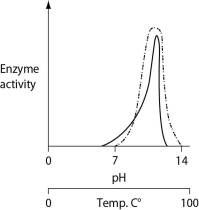 <strong>Consider the thermoacidophile Sulfolobus acidocaldarius. Which of the following graphs most accurately depicts the expected temperature and pH profiles of its enzymes? (Note: The horizontal axes of these graphs are double, with pH above and temperature below.) </strong> A) B) C) D)