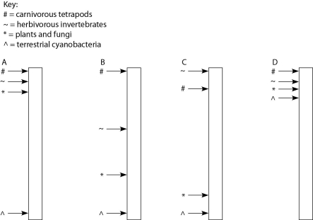 <strong>  Figure 23.2 The following questions refer to the paragraph below. A sediment core is removed from the floor of an inland sea. The sea has been in existence, off and on, throughout the entire time that terrestrial life has existed. Researchers wish to locate and study the terrestrial organisms fossilized in this core. The core is illustrated as a vertical column, with the top of the column representing the most recent strata and the bottom representing the time when land was first colonized by life. Assuming the existence of fossilized markers for each of the following chemicals, what is the sequence in which they should be found in this sediment core, working from ancient sediments to recent sediments? 1. chitin coupled with protein 2) chlorophyll 3) bone 4) cellulose</strong> A) 2, 4, 3, 1 B) 2, 4, 1, 3 C) 4, 2, 1, 3 D) 4, 2, 3, 1 <div style=padding-top: 35px> 