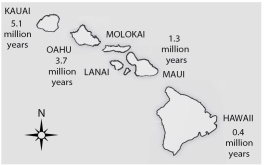 <strong>  Figure 23.3 Hawaii is the most southeastern of the seven islands and is also closest to the sea-floor spreading center from which the Pacific plate originates, which lies about 5,600 km further to the southeast. Assuming equal sedimentation rates, what should be the location of the thickest sediment layer and, thus, the area with the greatest diversity of fossils above the oceanic crust?</strong> A) between the island of Hawaii and the sea-floor spreading center B) around the base of the island of Hawaii C) around the base of Kauai, the oldest of the Hawaiian islands D) where the islands are most concentrated (highest number of islands per unit surface area) <div style=padding-top: 35px> 