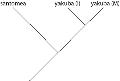 Which of these evolutionary trees represents the situation described in the previous paragraph? (Note: Yakuba (I)  represents the island population, and yakuba (M)  represents the mainland population.)  A)    B)    C)    D)   
