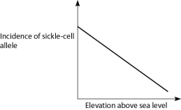 Anopheles mosquitoes, which carry the malaria parasite, cannot live above elevations of 5,900 feet. In addition, oxygen availability decreases with higher altitude. Consider a hypothetical human population that is adapted to life on the slopes of Mt. Kilimanjaro in Tanzania, a country in equatorial Africa. Mt. Kilimanjaro's base is about 2,600 feet above sea level and its peak is 19,341 feet above sea level. If the incidence of the sickle-cell allele in the population is plotted against altitude (feet above sea level) , which of the following distributions is most likely, assuming little migration of people up or down the mountain? A)    B)    C)    D)   
