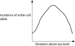 Anopheles mosquitoes, which carry the malaria parasite, cannot live above elevations of 5,900 feet. In addition, oxygen availability decreases with higher altitude. Consider a hypothetical human population that is adapted to life on the slopes of Mt. Kilimanjaro in Tanzania, a country in equatorial Africa. Mt. Kilimanjaro's base is about 2,600 feet above sea level and its peak is 19,341 feet above sea level. If the incidence of the sickle-cell allele in the population is plotted against altitude (feet above sea level) , which of the following distributions is most likely, assuming little migration of people up or down the mountain? A)    B)    C)    D)   
