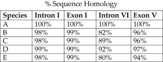 The next questions refer to Table 20.1, which compares the % sequence homology of four different parts (two introns and two exons)  of a gene that is found in five different eukaryotic species. Each part is numbered to indicate its distance from the promoter (e.g., Intron I is the one closest to the promoter) . The data reported for species A were obtained by comparing DNA from one member of species A to the DNA of another member of species A.    Table 20.1 -Regarding these sequence homology data, the principle of maximum parsimony would be applicable in A)  distinguishing introns from exons. B)  determining degree of sequence homology. C)  selecting appropriate genes for comparison among species. D)  inferring evolutionary relatedness from the number of sequence differences.