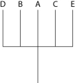 The next questions refer to Table 20.1, which compares the % sequence homology of four different parts (two introns and two exons)  of a gene that is found in five different eukaryotic species. Each part is numbered to indicate its distance from the promoter (e.g., Intron I is the one closest to the promoter) . The data reported for species A were obtained by comparing DNA from one member of species A to the DNA of another member of species A.    Table 20.1 -Based on the tabular data, and assuming that time advances vertically, which cladogram (a type of phylogenetic tree)  is the most likely depiction of the evolutionary relationships among these five species? A)    B)    C)    D)   