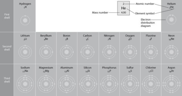  Figure 2.2 -Refer to Figure 2.2 (first three rows of the periodic table) . If life arose on a planet where carbon is absent, which element might fill the role of carbon? A)  boron B)  silicon C)  nitrogen D)  aluminum E)  phosphorus 