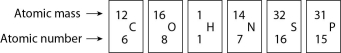   Figure 2.4 -How many electrons does an atom of sulfur have in its valence shell (see Figure 2.4) ? A)  4 B)  6 C)  8 D)  16 E)  32