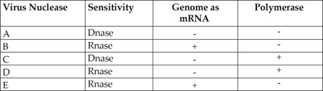 Use the following information to answer the following questions. In 1971, David Baltimore described a scheme for classifying viruses based on how the virus produces mRNA. Table 17.1 shows the results of testing five viruses (A-E)  for nuclease specificity, the ability of the viral genome to act as an mRNA, and the presence (+)  or absence (-)  of each virus's own polymerase.   Table 17.1 -Based on Table 17.1, which virus meets the Baltimore requirements for a retrovirus? A)  A B)  B C)  C D)  D E)  E