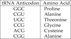 The following information should be used for the next few questions. A part of an mRNA molecule with the following sequence is being read by a ribosome: 5' CCG-ACG 3' (mRNA) . The charged transfer RNA molecules shown in Figure 14.4 (with their anticodons shown in the 3' to 5' direction)  are available. Two of them can correctly match the mRNA so that a dipeptide can form.    Figure 14.4 -The anticodon loop of the first tRNA that will complement this mRNA is A)  3' GGC 5'. B)  5' GGC 3'. C)  5' ACG 3'. D)  5' UGC 3'. E)  3' UGC 5'.