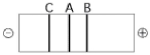 <strong>Use Figure 13.4 to answer the following question. Figure 13.4 The segment of DNA shown in Figure 13.4 has restriction sites I and II, which create restriction fragments A, B, and C. Which of the gels produced by electrophoresis shown below best represents the separation and identity of these fragments?</strong> A) B) C) D) E)