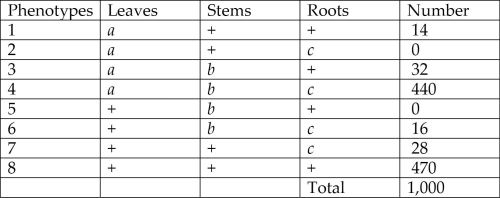 <strong>Use the following information to answer the questions below. A plantlike organism on the planet Pandora can have three recessive genetic traits: bluish leaves, due to an allele (a) of gene A; a feathered stem, due to an allele (b) of gene B; and hollow roots due to an allele (c) of gene C. The three genes are linked and recombine as follows: A geneticist did a testcross with an organism that had been found to be heterozygous for the three recessive traits and she was able to identify progeny of the following phenotypic distribution (+ = wild type): Figure 12.3 Which of the following are the phenotypes of the parents in this cross?</strong> A) 2 and 5 B) 1 and 6 C) 4 and 8 D) 3 and 7 E) 1 and 2